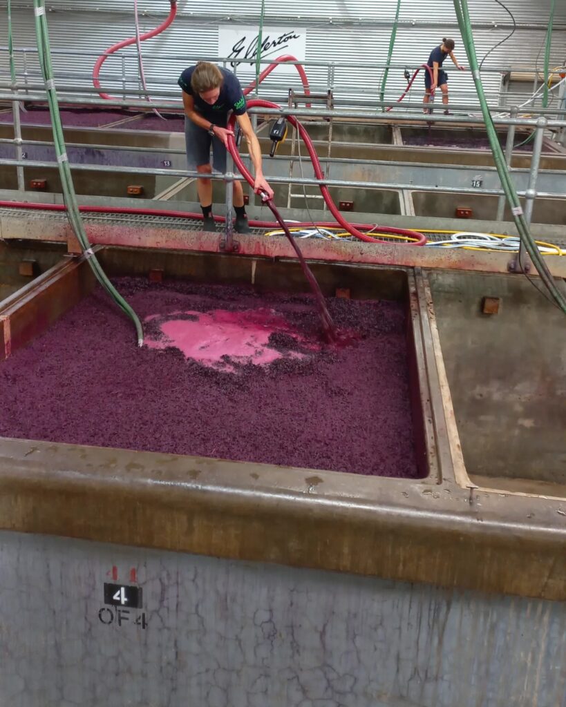 Elderton Wines